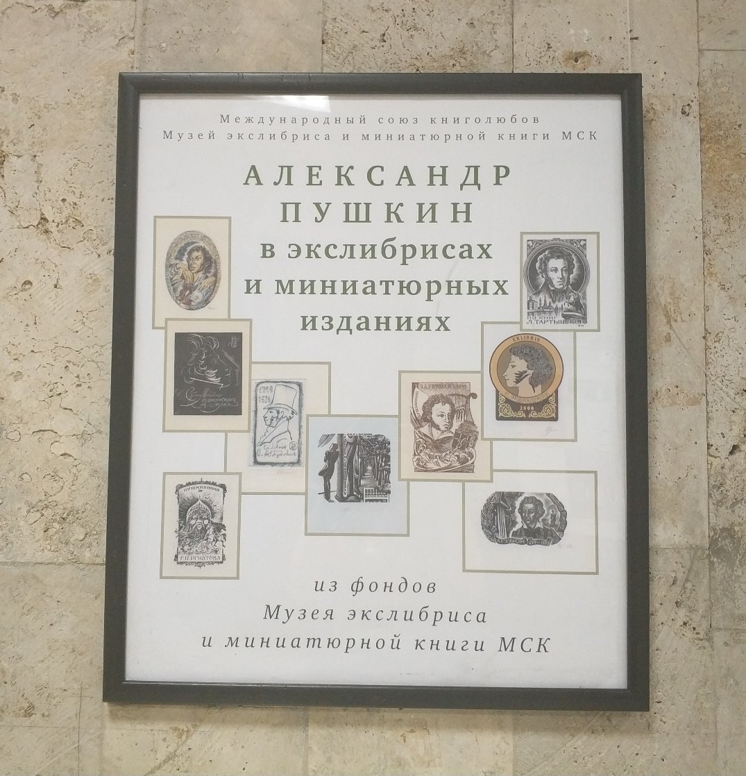 день книги в библиотеке