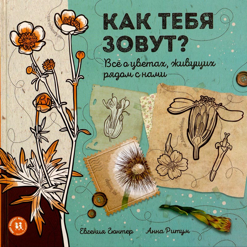 Как тебя зовут?