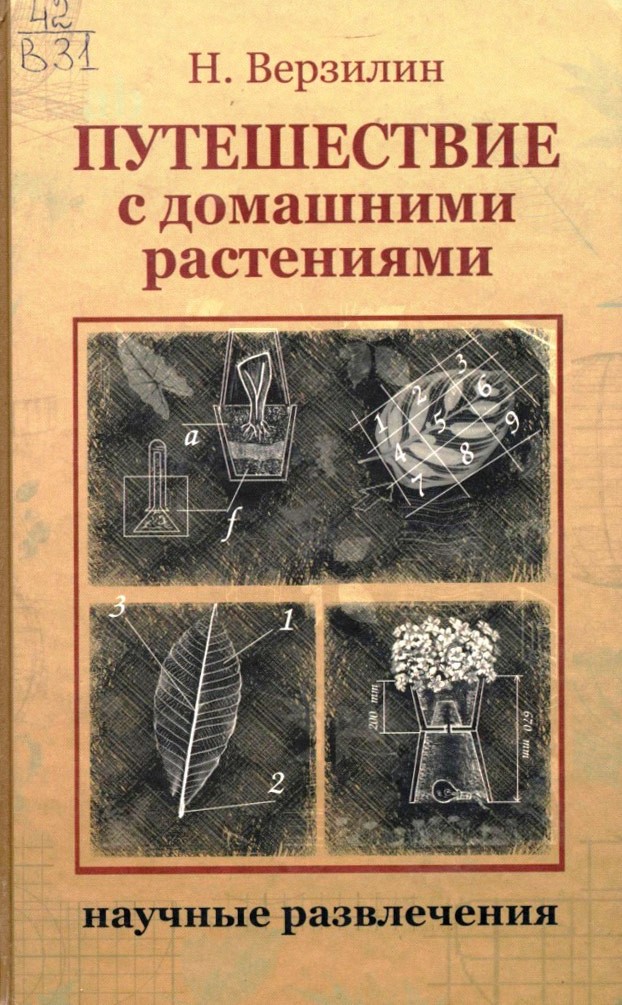 Путешествие с домашними растениями