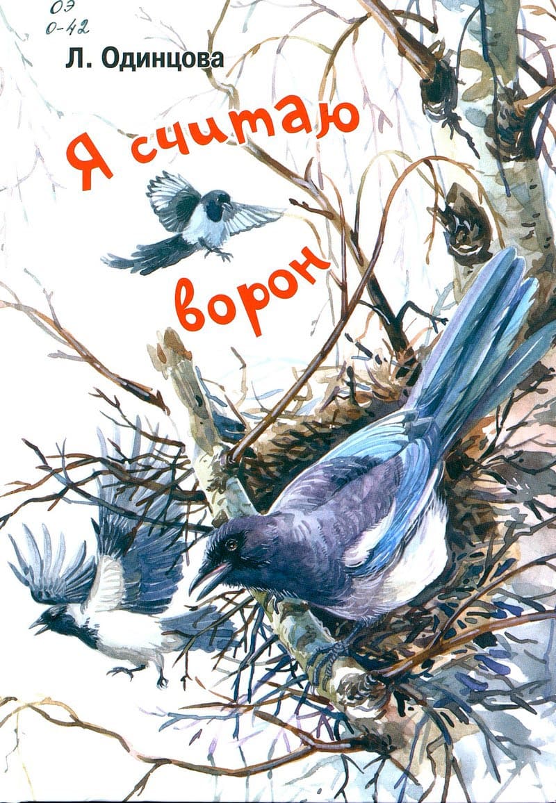 Я считаю ворон.