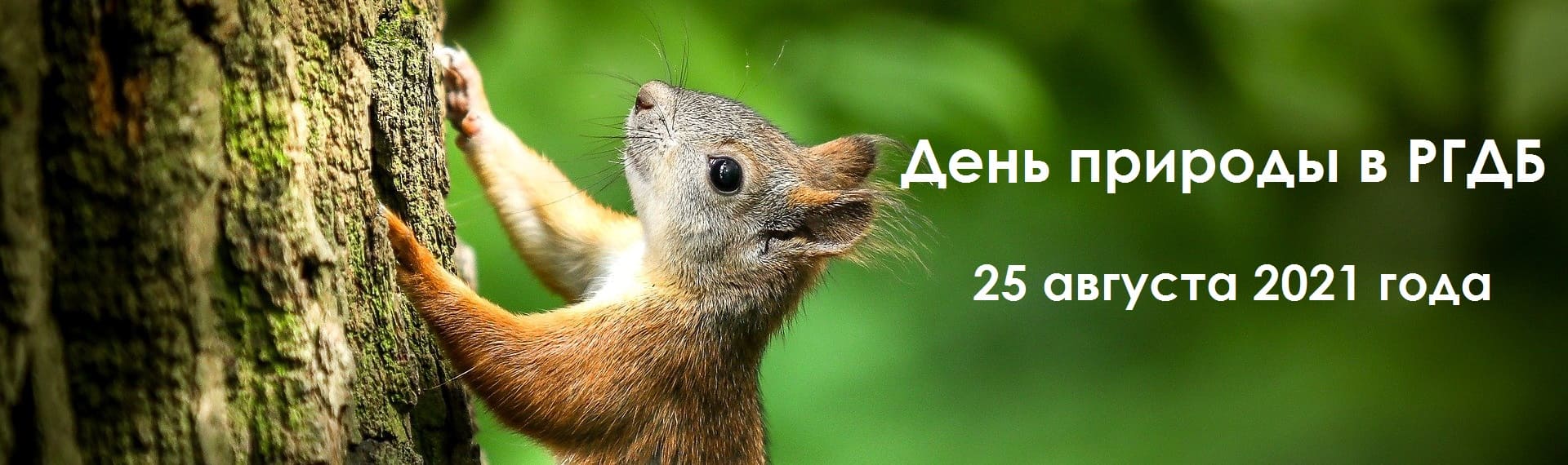День природы