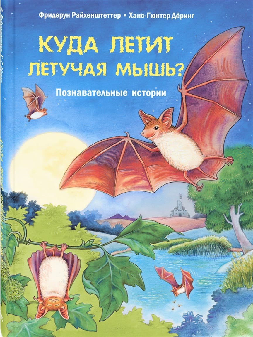 Куда летит летучая мышь?