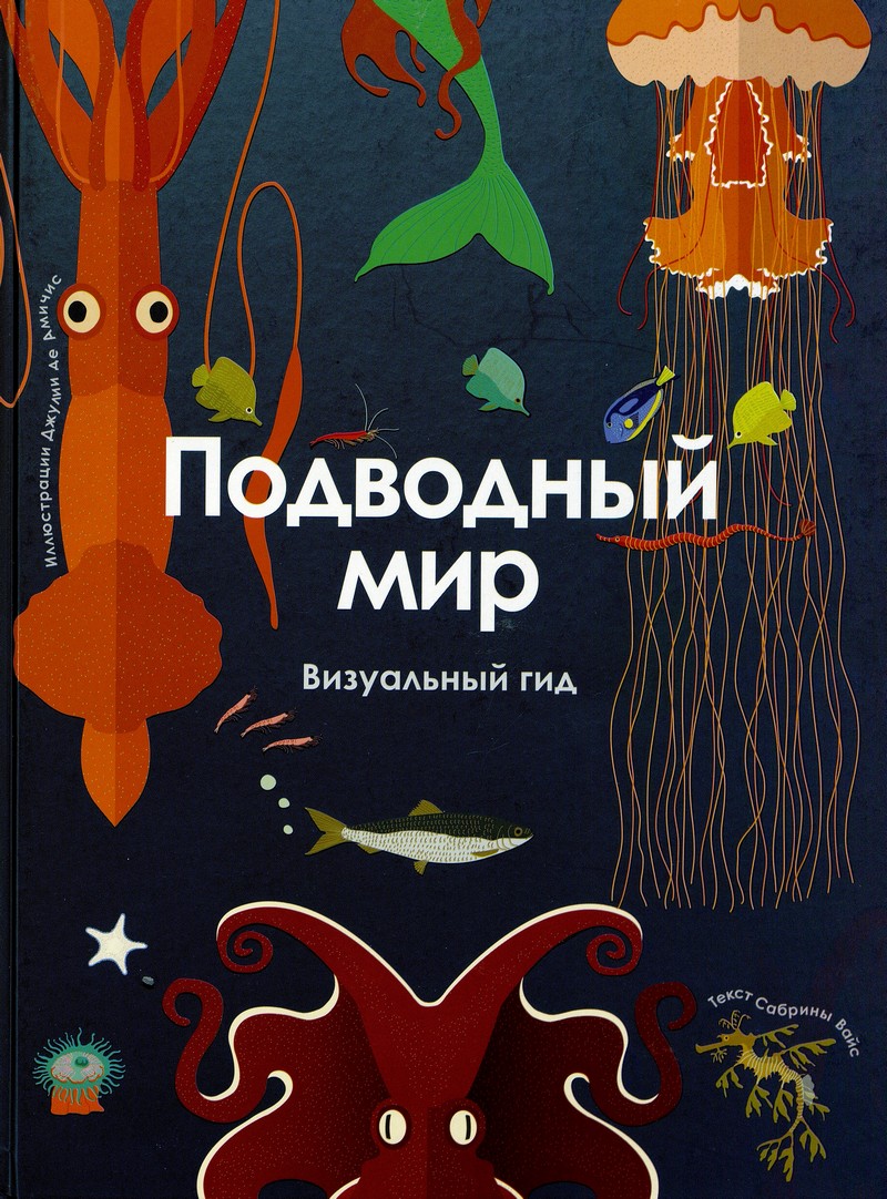 Подводный мир: визуальный гид