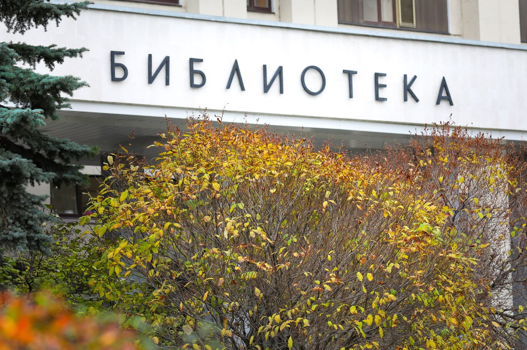 Детская библиотека