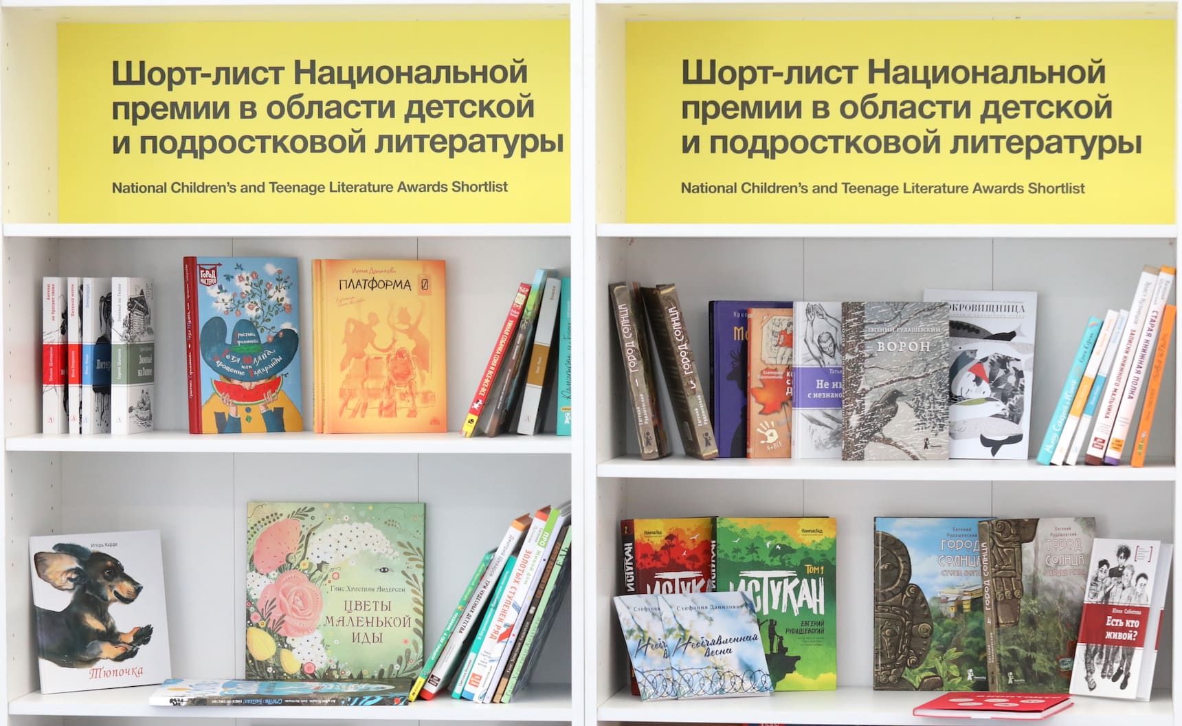Шорт-лист Национальной премии в области детской и подростковой литературы