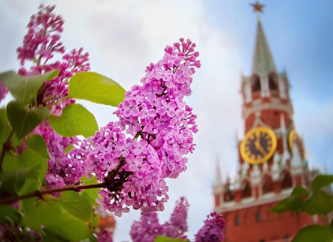 Ароматно-литературный вечер 