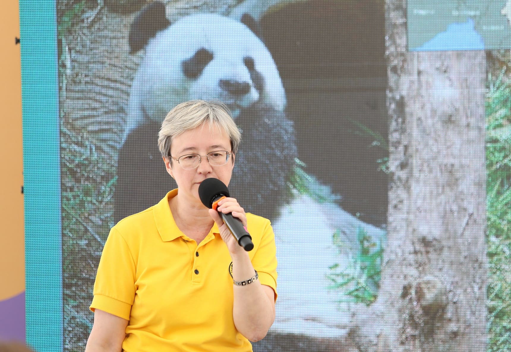 Елена Козлова