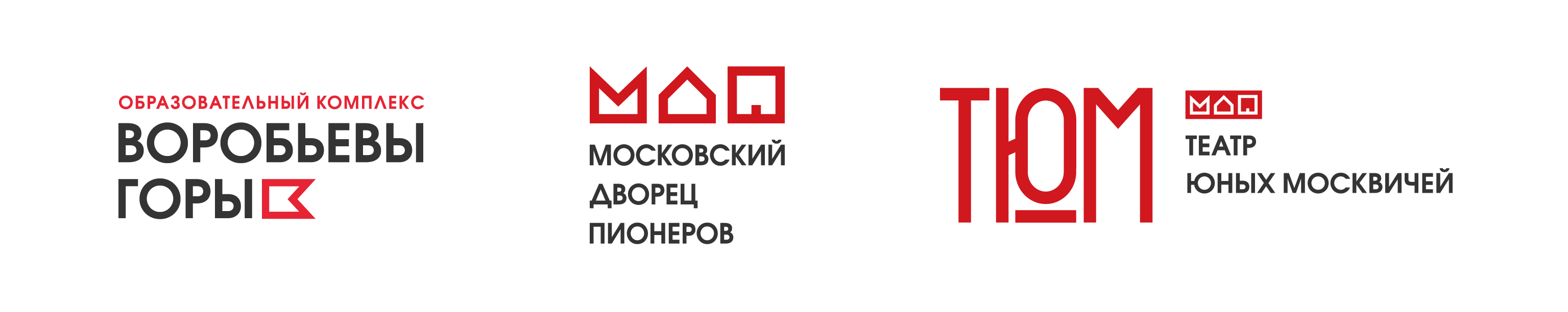 ЛОГО ВГ МДП ТЮМ