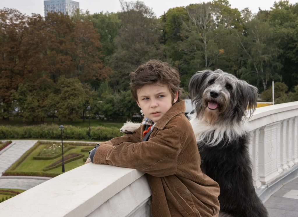 kazhdyj mechtaet o sobake 2