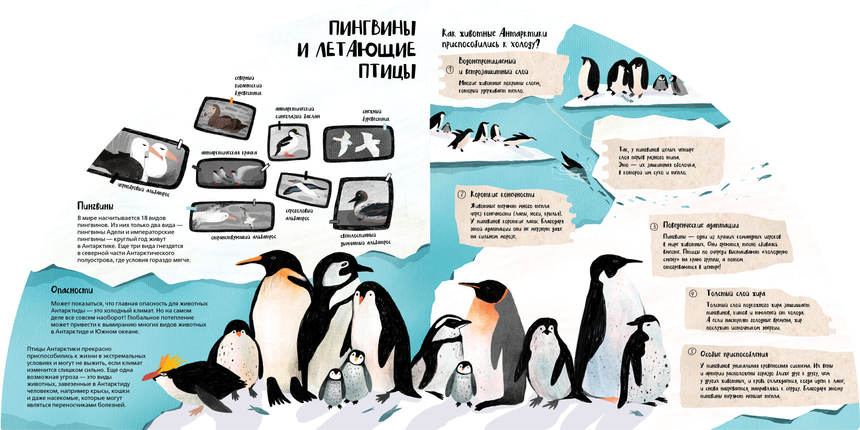 Мария Вышинская / Таня Медведева «Вокруг Антарктики»