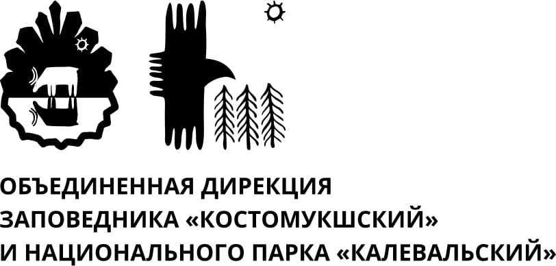 дирекция2 simple 2 1 1