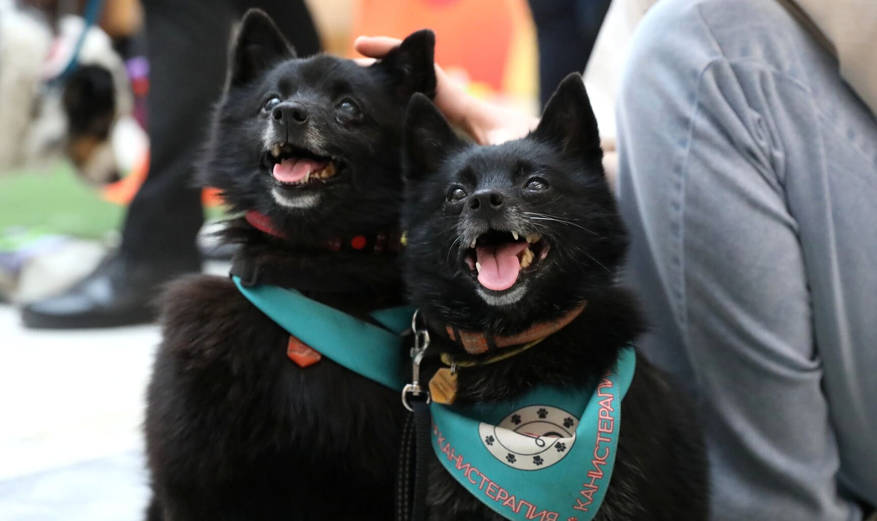 Фестиваль #ЛюдиКакЛюди – 2026