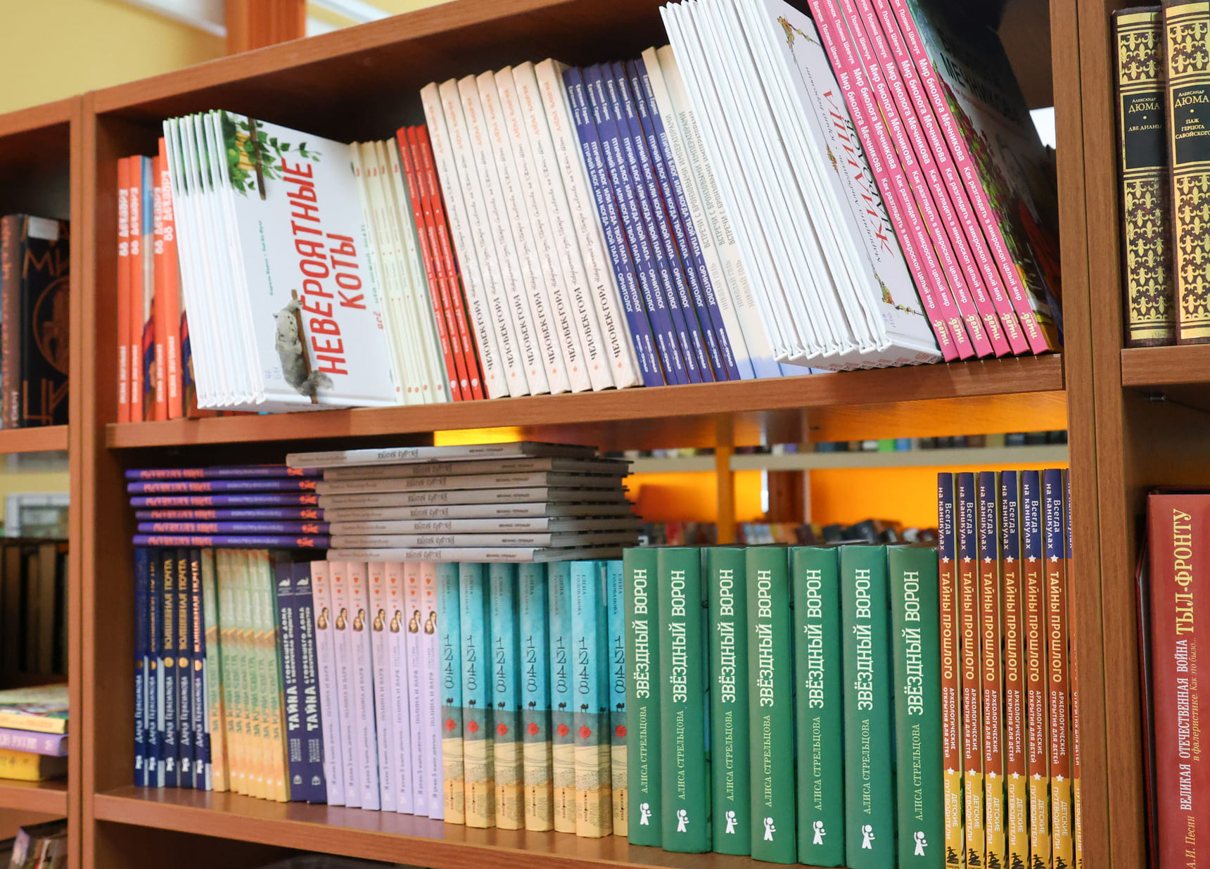 «А мне нравится!»: 11 читательское голосование в РГДБ