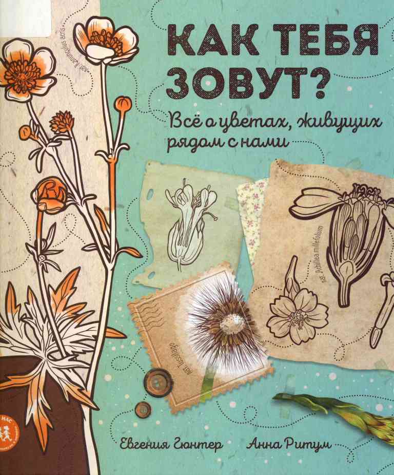 книжные новинки