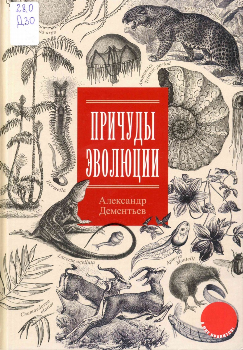 Причуды эволюции