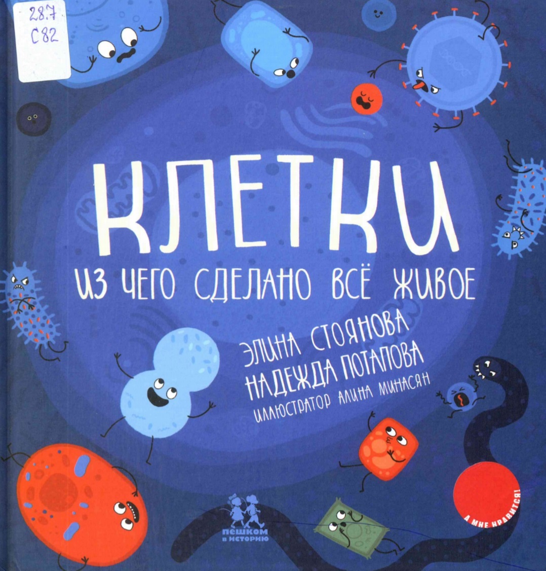 Клетки: из чего сделано всё живое