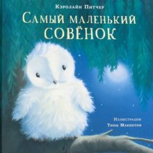 Самый маленький совёнок. Кэролайн Питчер