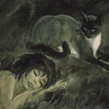 Кошка, гулявшая сама по себе