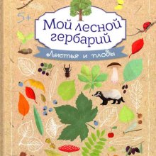  Мой лесной гербарий. Листья и плоды. Анна Томас-Белли