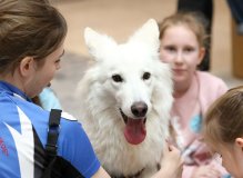 Читаем вместе с DogУроком / Библионочь – 2023