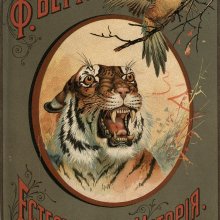 Иллюстрированная естественная история / Ф. Берге; перевод с 3-го немецкого дополненного издания Н. С. Понятского.- Москва : Издание книжного магазина I. Кнебеля, 1903