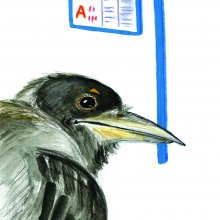 Иллюстрации к книге "Камушек, фантик, цветок"