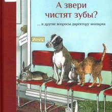  А звери чистят зубы? ... и другие вопросы директору зоопарка