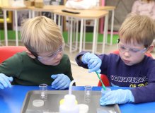 Проект «Sciencely»