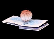 Выставка «Pop-up. Больше чем книга» / Фото: пресс-служба РГДБ