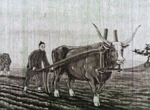Братья Лю