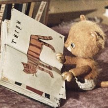 Про тигренка Бинки, у которого пропали полоски