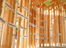 Детский интеллектуальный центр #ЗнайЧитай / Сказка