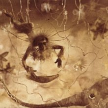 Как хорошо иметь друзей