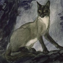 Кошка, гулявшая сама по себе