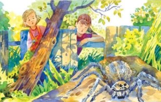 Юлия Весова «Анька, выходи!»