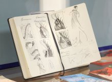 Выставка «Яна Седова. В мире сказок и легенд»