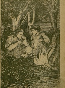 Красные дьяволята. Охота за голубой лисицей / П. Бляхин, худ. М. Щеглов. - Пролетарий, 1925.